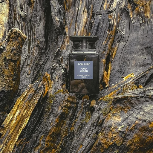 ادکلن تام فورد عود وود عطر و اسانس - Tom Ford Oud Wood
