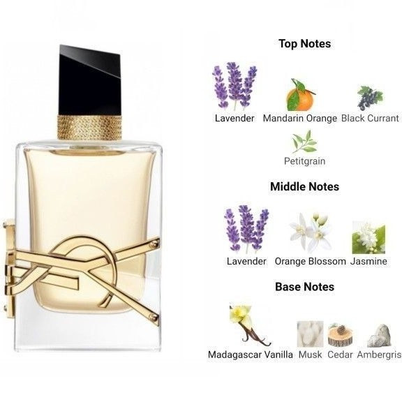 ادکلن ایو سن لورن لیبره زنانه عطر و اسانس | Yves Saint Laurent Libre