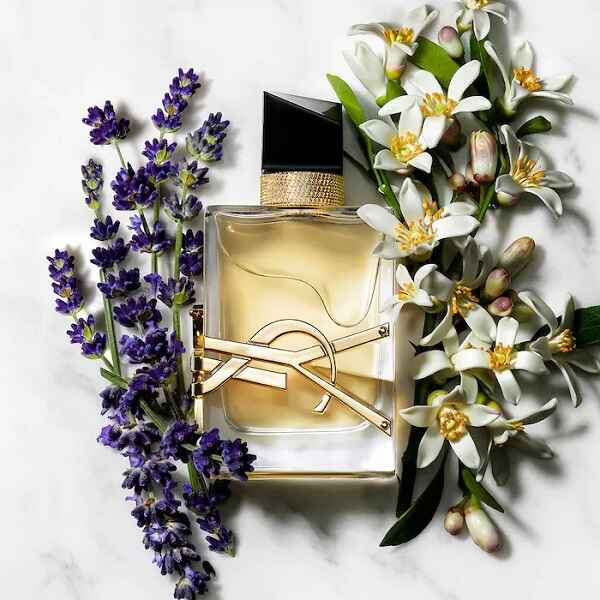 ادکلن ایو سن لورن لیبره زنانه عطر و اسانس | Yves Saint Laurent Libre