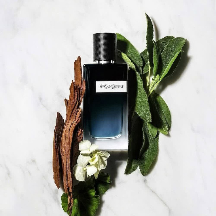 ادکلن ایو سن لورن وای عطر و اسانس | Yves Saint Laurent Y