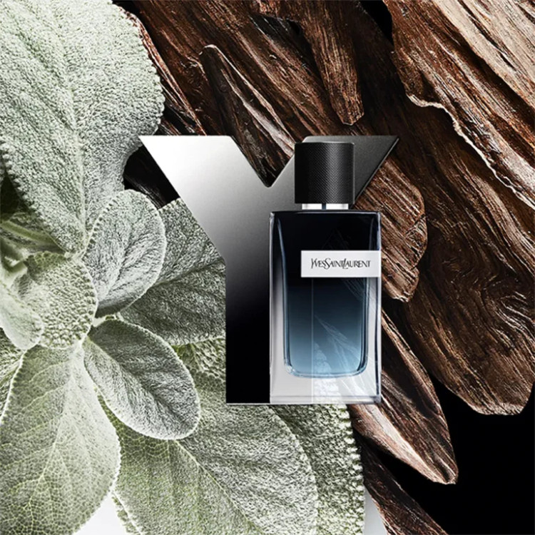ادکلن ایو سن لورن وای عطر و اسانس | Yves Saint Laurent Y