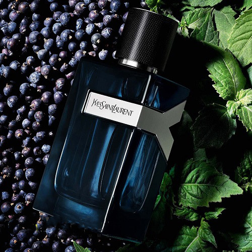 ادکلن ایو سن لورن وای عطر و اسانس | Yves Saint Laurent Y