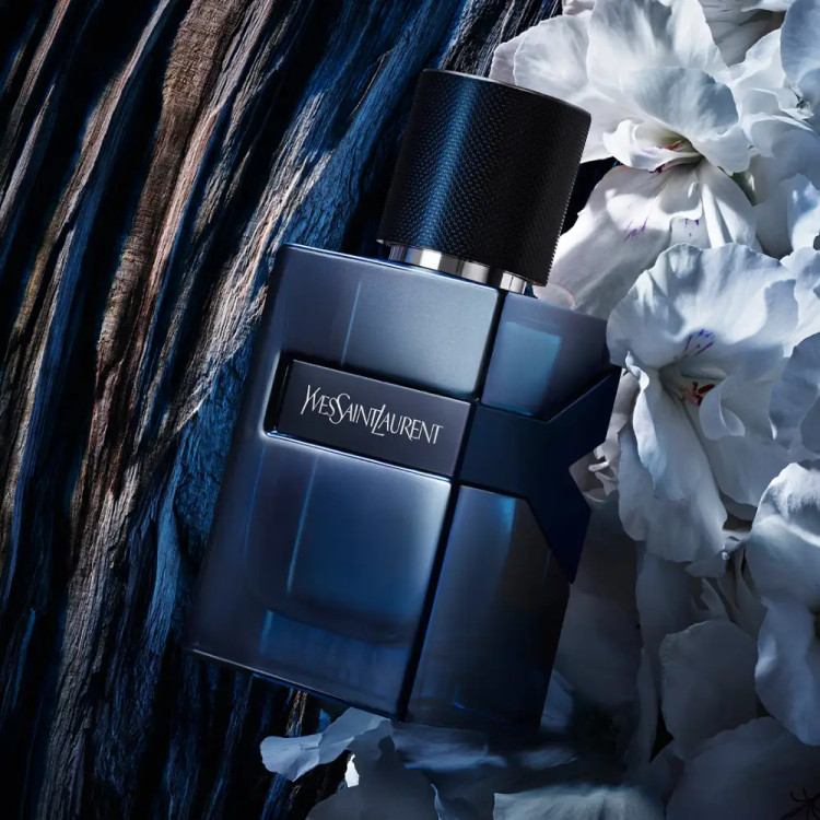 ادکلن ایو سن لورن وای عطر و اسانس | Yves Saint Laurent Y